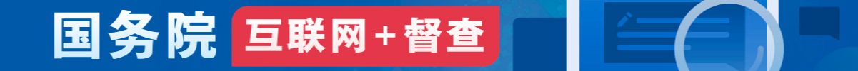 互联网+督查